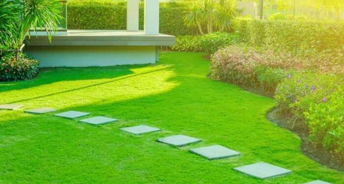 The 10 Best Landscaping Companies Near Me (with Free Quotes)